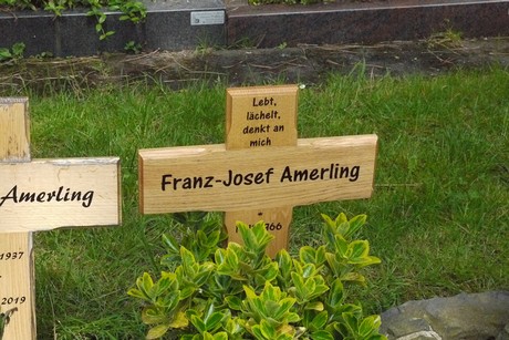 Kottenforst