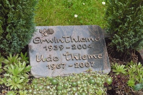 Kottenforst