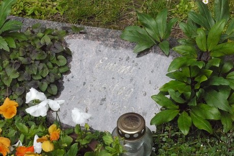 Kottenforst