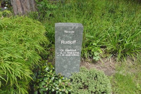 Kottenforst
