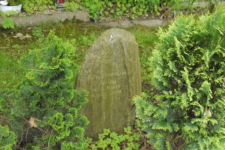 Kottenforst