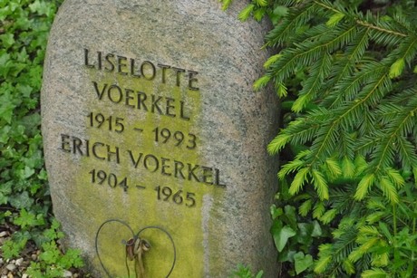 Kottenforst