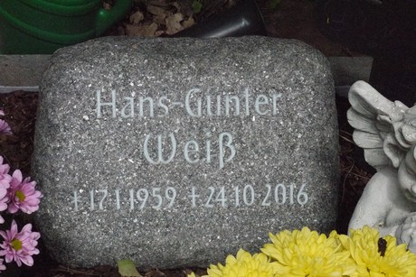 Kottenforst