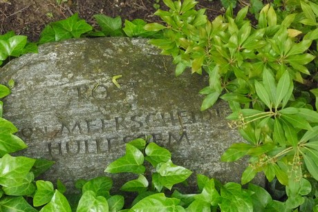 Kottenforst