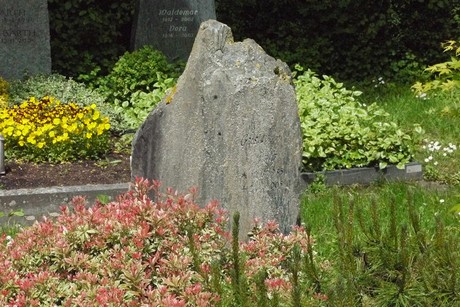Kottenforst