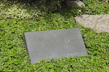 Kottenforst