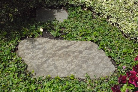 Kottenforst