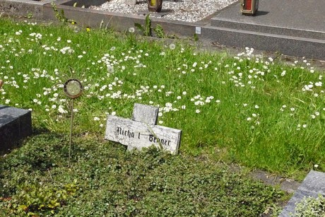 Kottenforst
