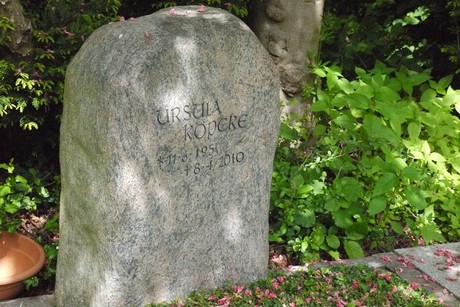 Kottenforst