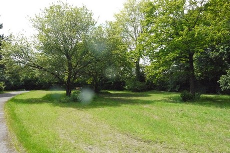 Kottenforst