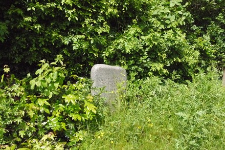 Kottenforst