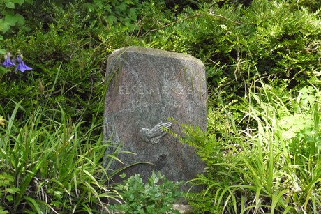 Kottenforst