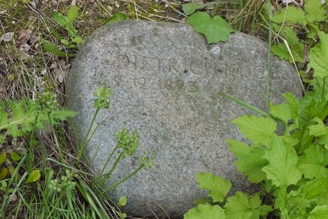 Kottenforst