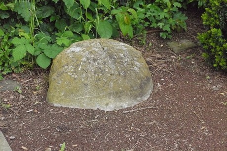 Kottenforst