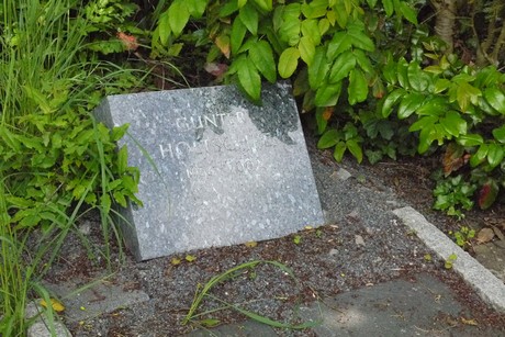 Kottenforst