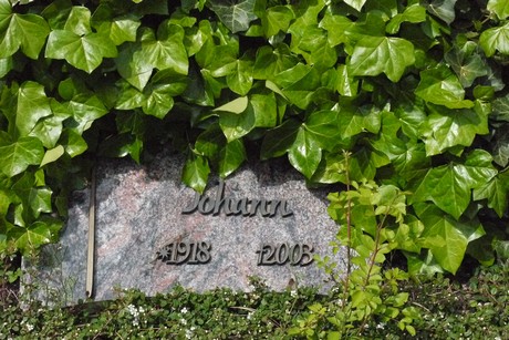 Kottenforst