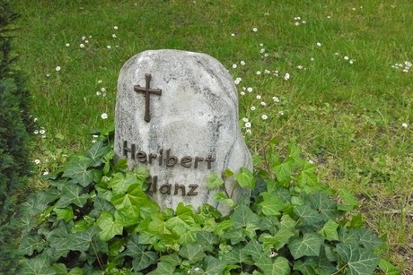 Kottenforst