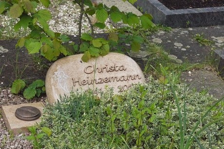 Kottenforst