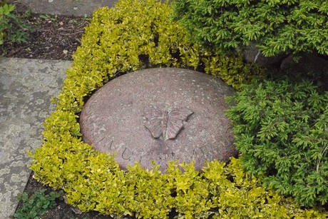 Kottenforst