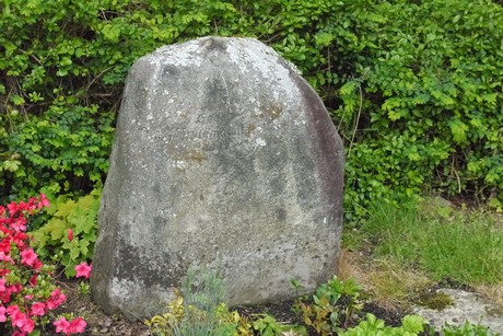 Kottenforst