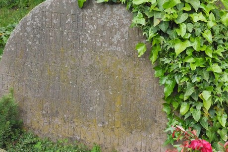 Kottenforst
