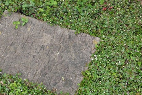 Kottenforst