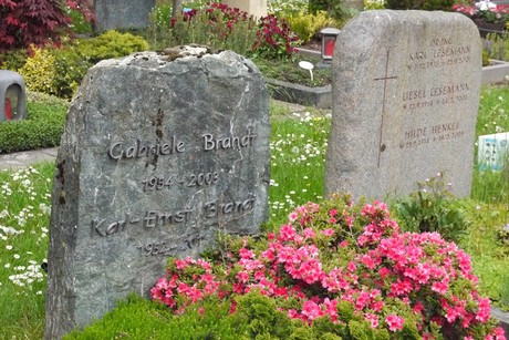 Kottenforst