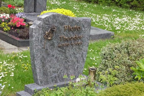 Kottenforst