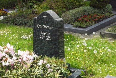 Kottenforst