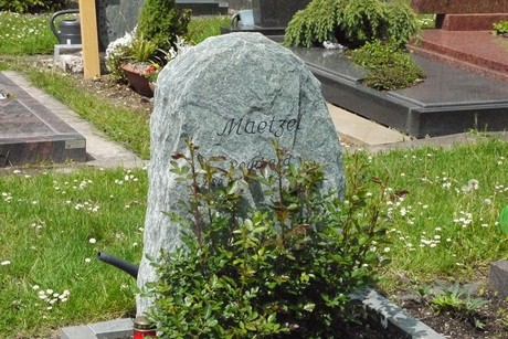 Kottenforst