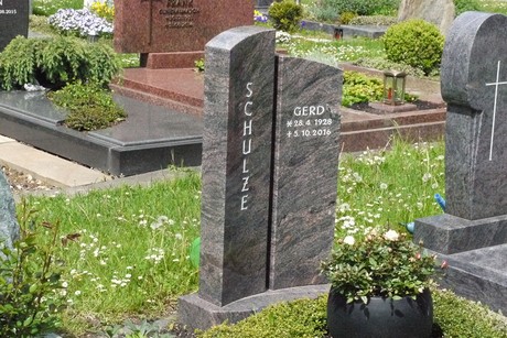 Kottenforst