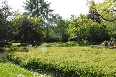 Kottenforst