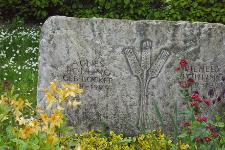 Kottenforst