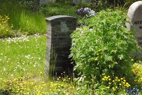 Kottenforst