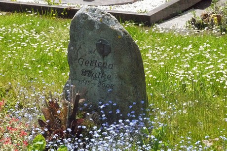 Kottenforst