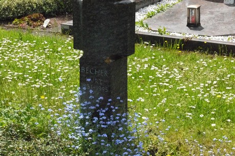 Kottenforst