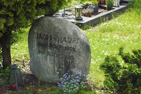 Kottenforst