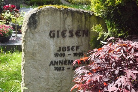 Kottenforst