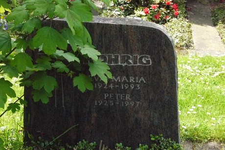 Kottenforst
