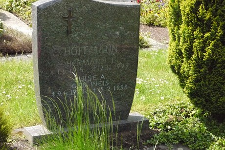 Kottenforst