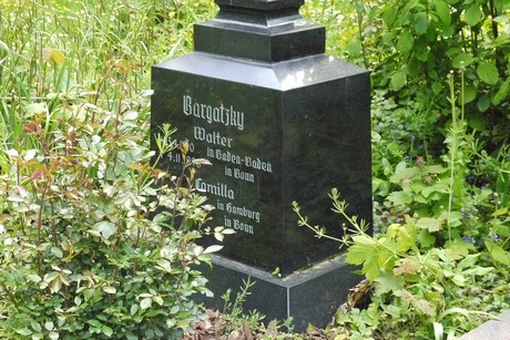 Kottenforst