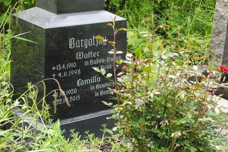 Kottenforst