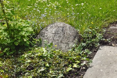 Kottenforst
