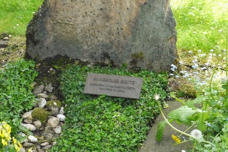 Kottenforst