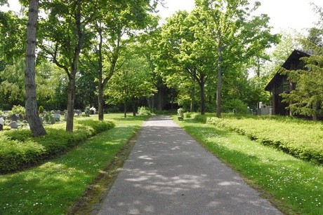 Kottenforst