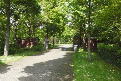 Kottenforst