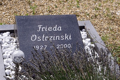 Kreuzau