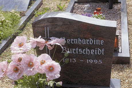 Kreuzau