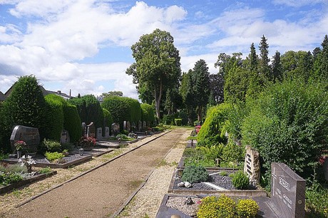 Kreuzau