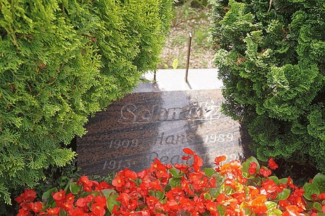 Kreuzau